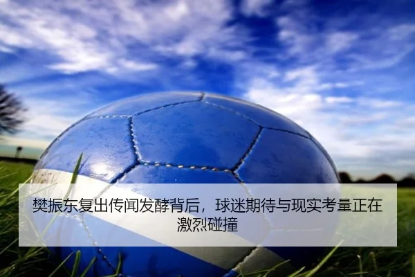 樊振东复出传闻发酵背后，球迷期待与现实考量正在激烈碰撞